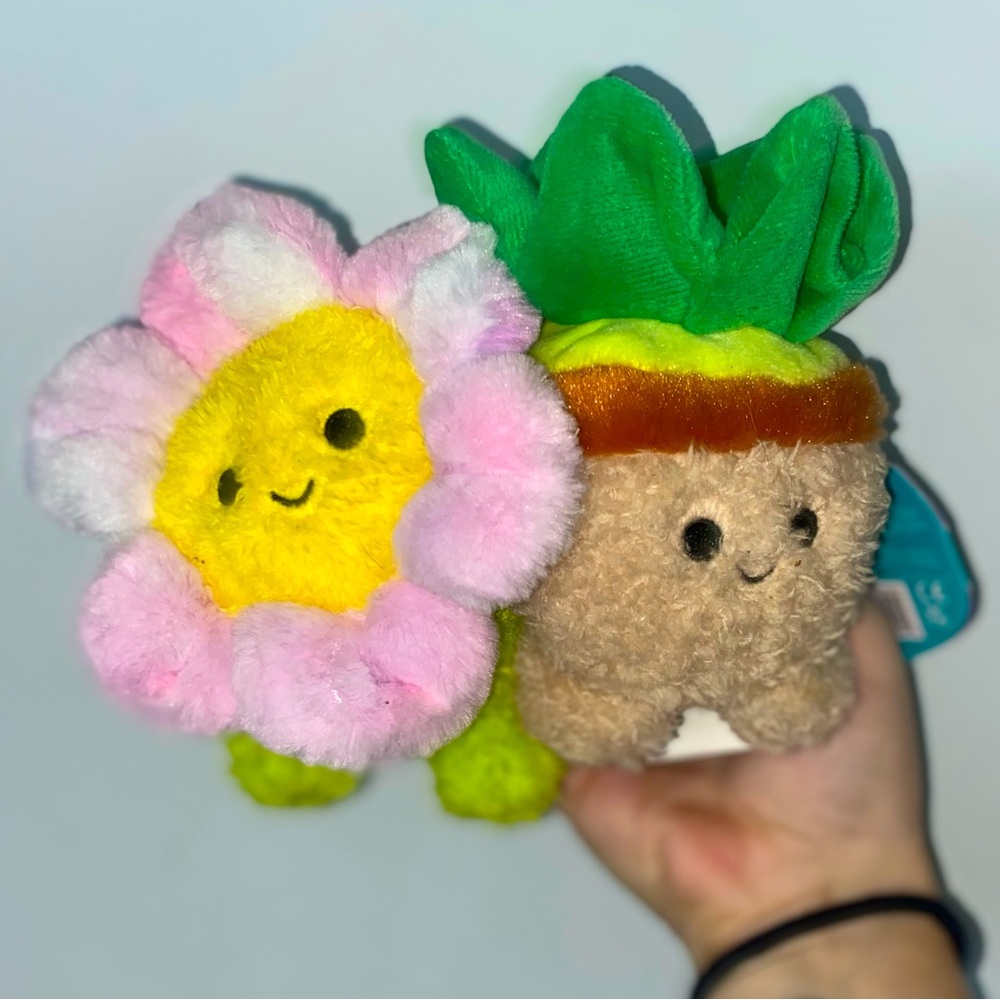 2 medium bumbumz. Set of plants 🪴: flower 🌸 and succulent 🌱